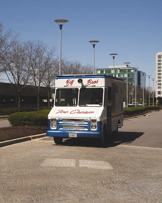 Big Bros Ice Cream Shop | Ice Cream Truck Chicago Picture 3