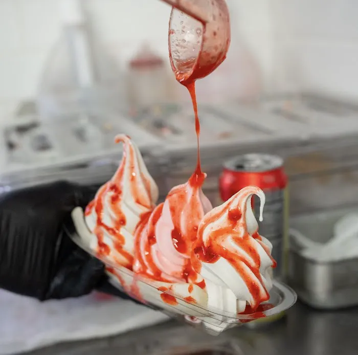 Big Bros Ice Cream Shop | Ice Cream Truck Chicago Picture 5