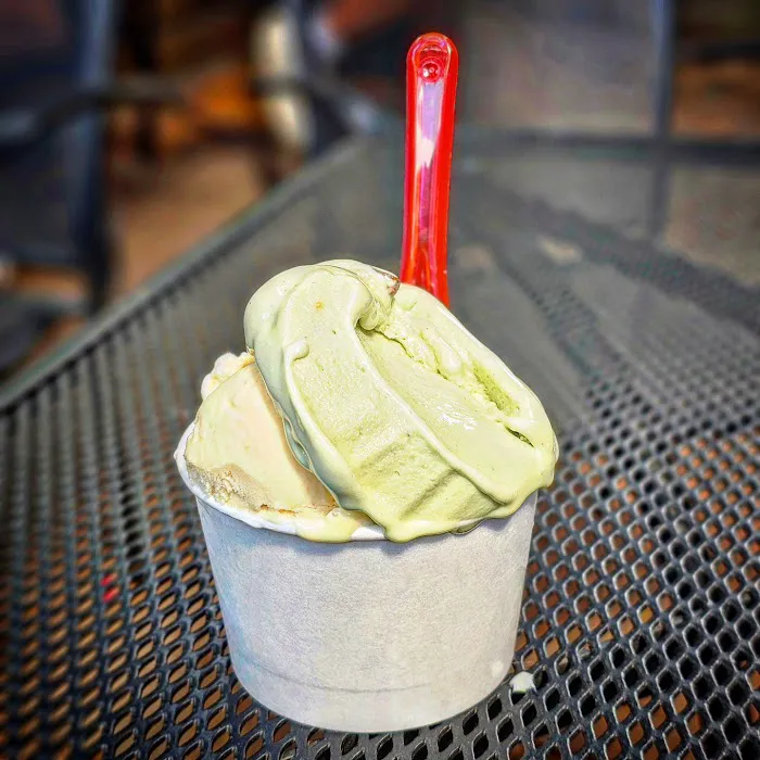 Black Dog Gelato Picture 8