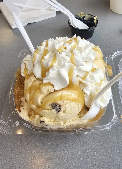 Shawn Michelle's Homemade Ice Cream Bronzeville Picture 4