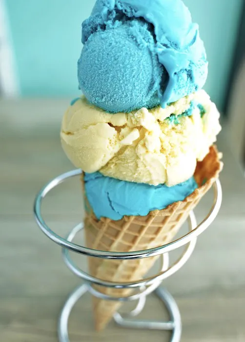 Shawn Michelle's Homemade Ice Cream Bronzeville Picture 2