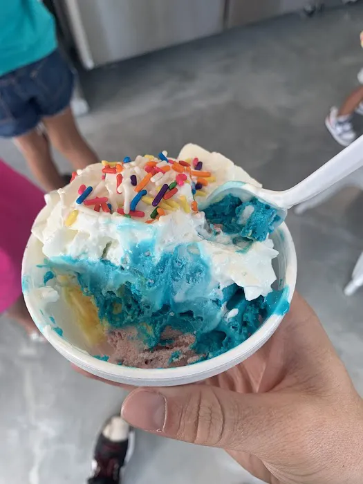 Shawn Michelle's Homemade Ice Cream Bronzeville Picture 10
