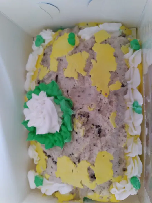 Baskin-Robbins Picture 4