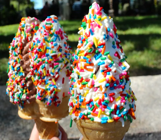 Chicago Freezer Ice Cream Truck / Chicago Freezer Ice Cream Shop Picture 3