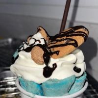 2 Scoops Ice Cream Parlor ico