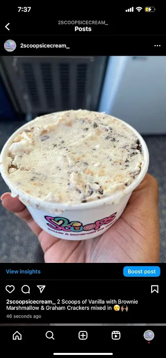 2 Scoops Ice Cream Parlor Picture 7