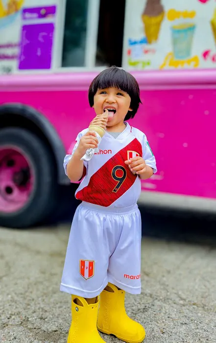 Swirltruck ice cream Picture 7