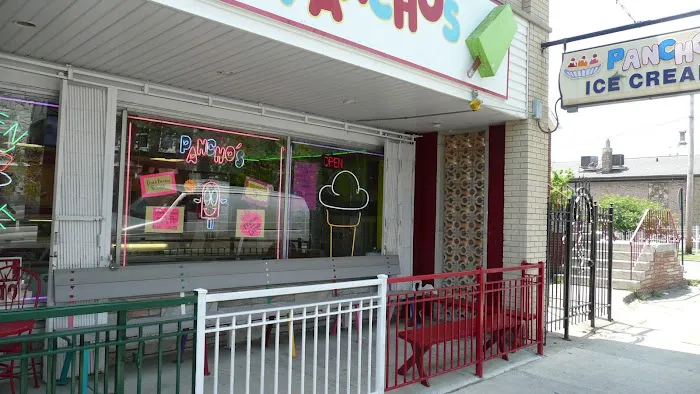 Pancho's Ice Cream - Mexican Style Frozen Fruit Bars 