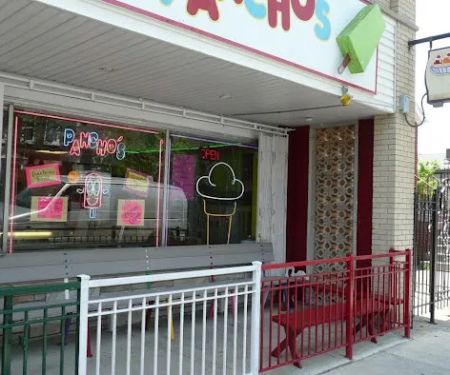 Pancho's Ice Cream - Mexican Style Frozen Fruit Bars 