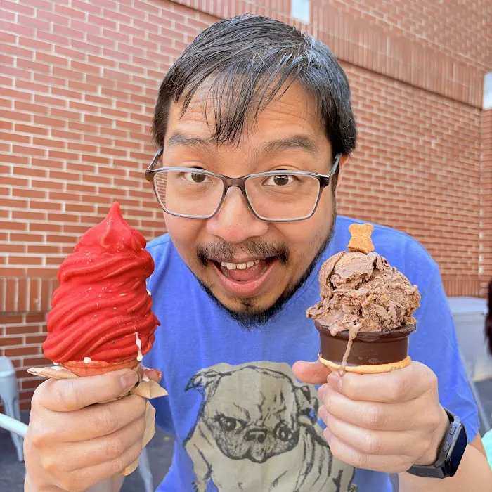Teddy's Ice Cream Picture 5