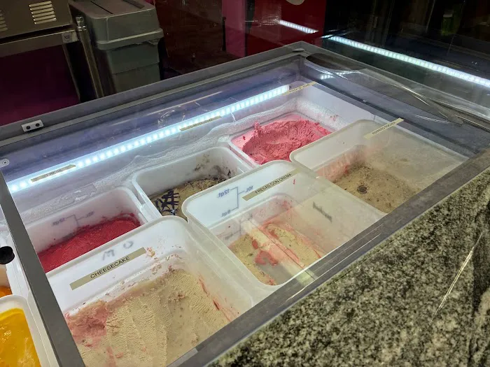 Las Delicias Michel Ice Cream Shop Picture 10