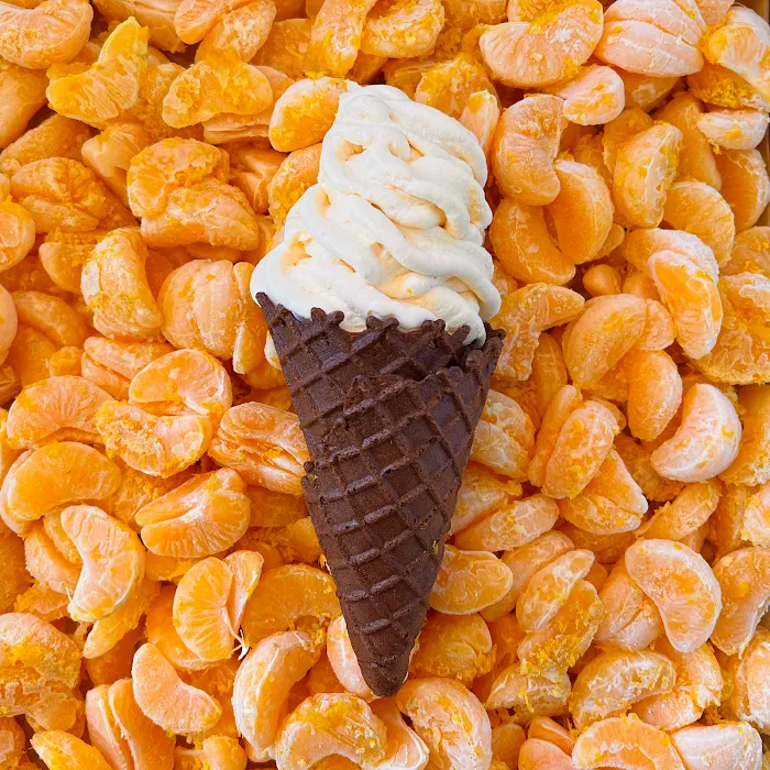 Courageous Cones Picture 6