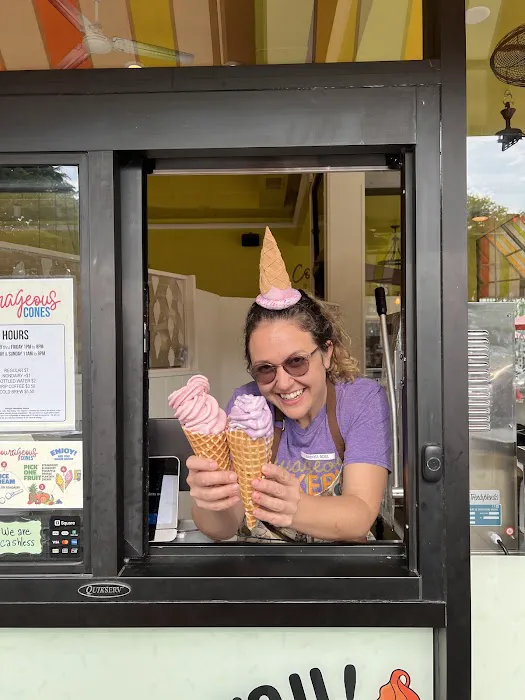 Courageous Cones Picture 5