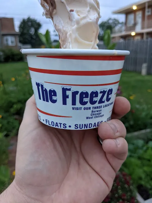 The Freeze Picture 9