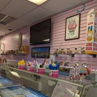 The Fancy Scoop ico