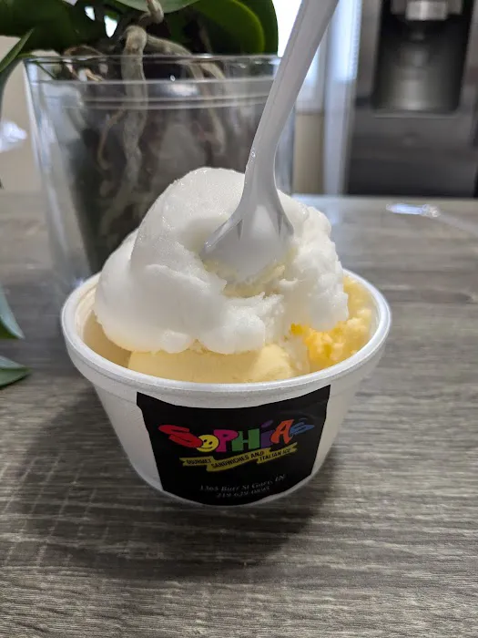 Sophia’s Gourmet Sandwiches And Italian Ice Picture 1