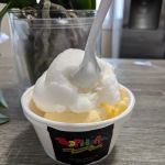 Sophia’s Gourmet Sandwiches And Italian Ice