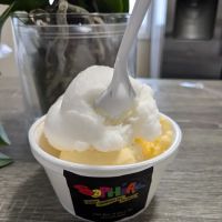 Sophia’s Gourmet Sandwiches And Italian Ice ico