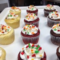 Plush Horse Ice Cream Shop - Tinley Park ico
