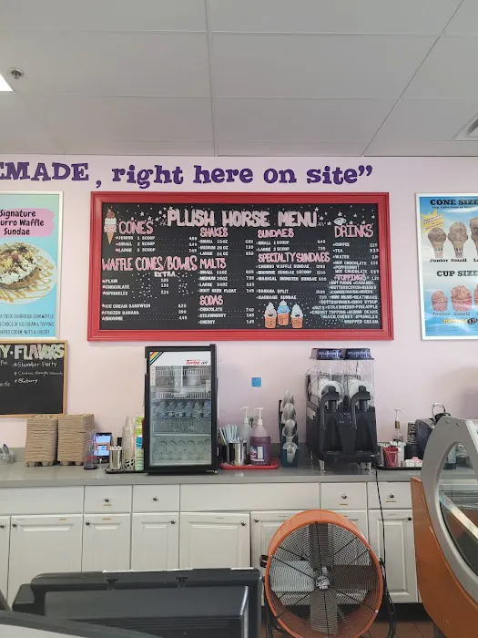 Plush Horse Ice Cream Shop - Tinley Park Picture 9