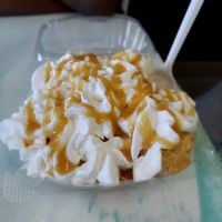 Shawn Michelle’s Homemade Ice Cream ico
