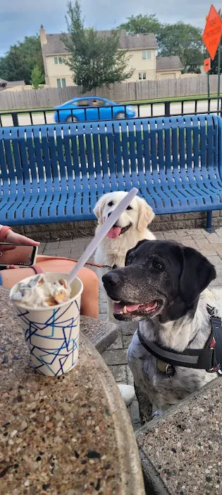 Creamery Ice Cream Picture 8