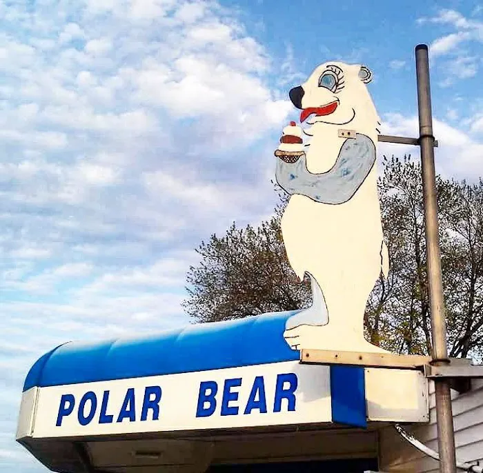 Polar Bear Picture 9