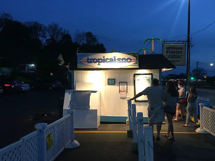 Tropical Sno Picture 4