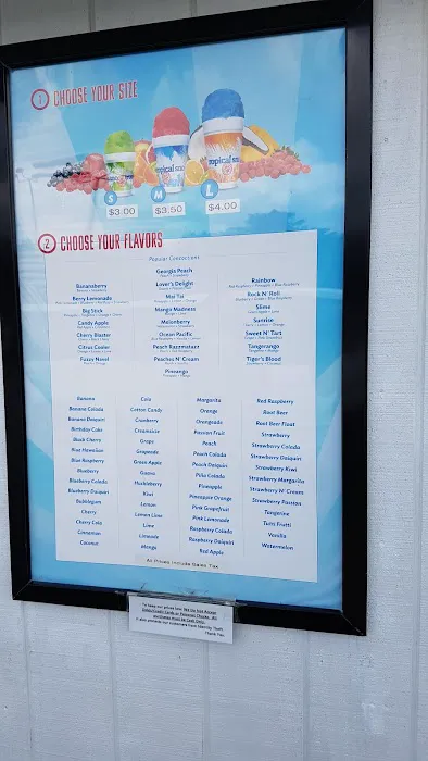 Tropical Sno Picture 10