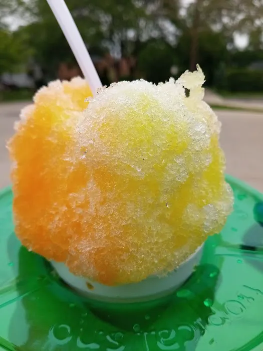 Tropical Sno- Western Springs Picture 2
