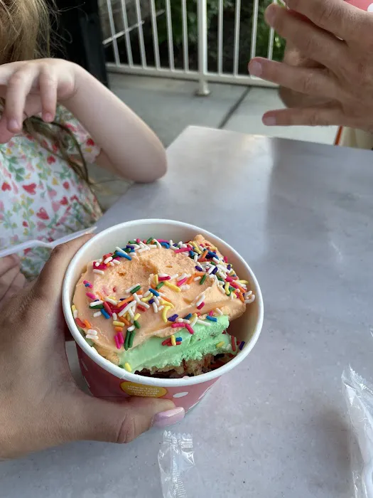 The Original Rainbow Cone - Harwood Heights Picture 6