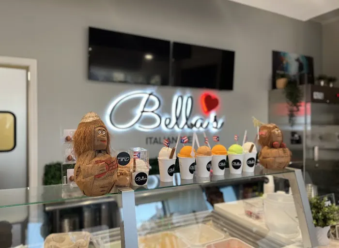 Bella’s Helado De Coco & Italian Ice Picture 6