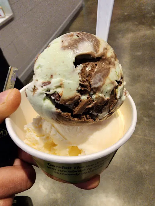 Triple Scoop'd Ice Cream Picture 4