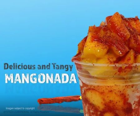 LA MICHOACANA DST