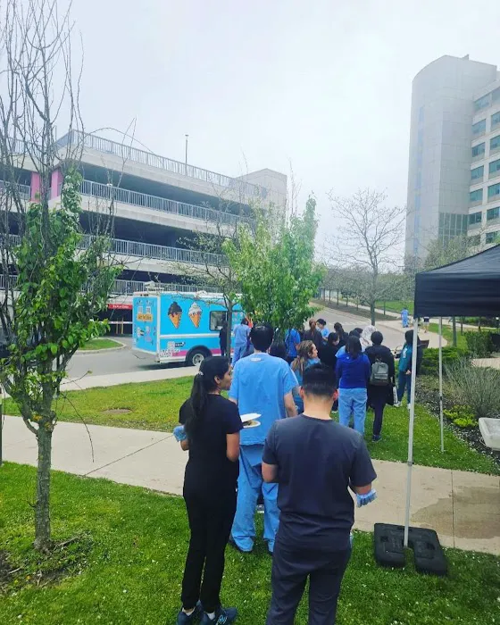 ICE CREAM TRUCKS CHICAGO - EVEREST Picture 5