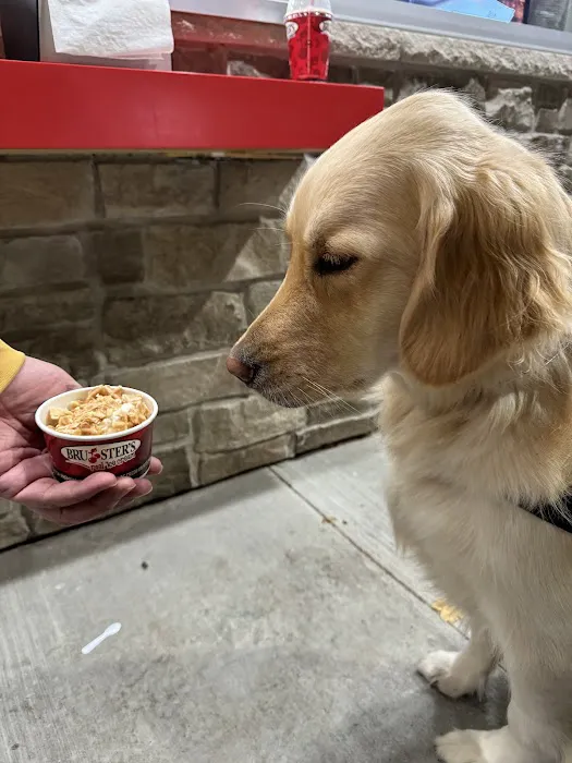 Bruster's Real Ice Cream Picture 5