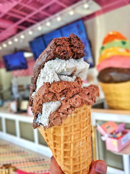 The Original Rainbow Cone Picture 3