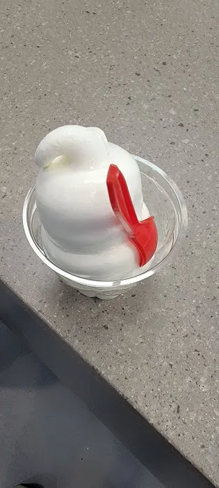 Dairy Queen (Treat) Picture 10