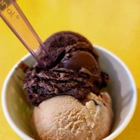 Dog Days Ice Cream Parlor ico