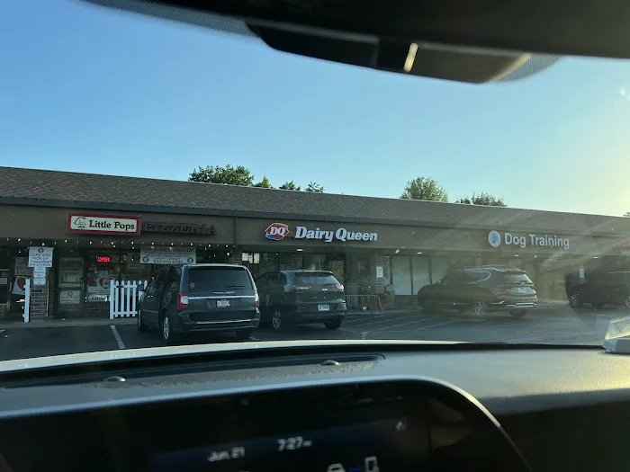 Dairy Queen (Treat) Picture 8