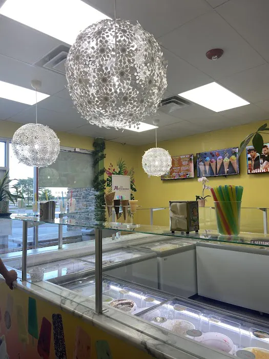 LA MICHOACANA TROPICAL Picture 7