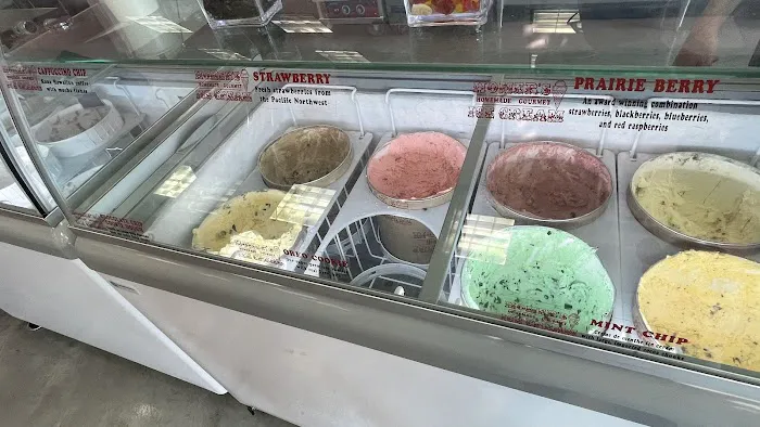 Scoops and Cookies Picture 6
