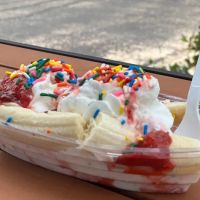 Davids Homemade Ice Cream ico