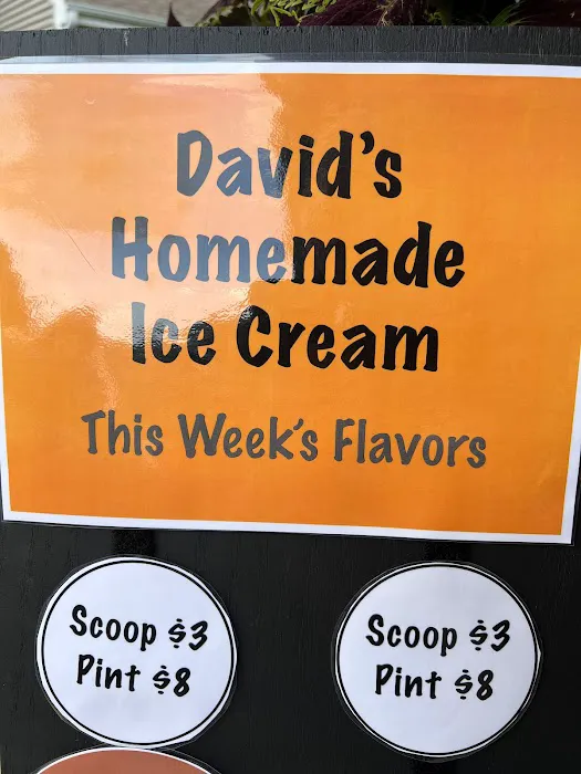 Davids Homemade Ice Cream Picture 7