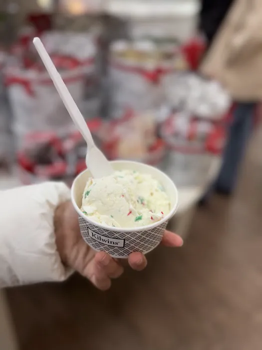 Kilwins Ice Cream - Chocolate - Fudge Picture 6