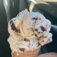 Flavor Frenzy ico