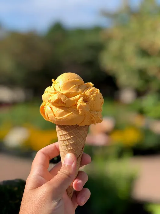 Cap's Ice Cream Picture 3