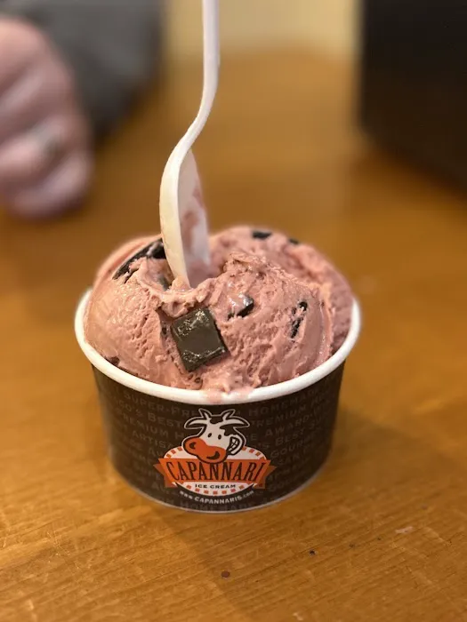 Cap's Ice Cream Picture 5
