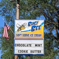 Busy Bee ico