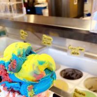 Chicanita Ice Cream ico